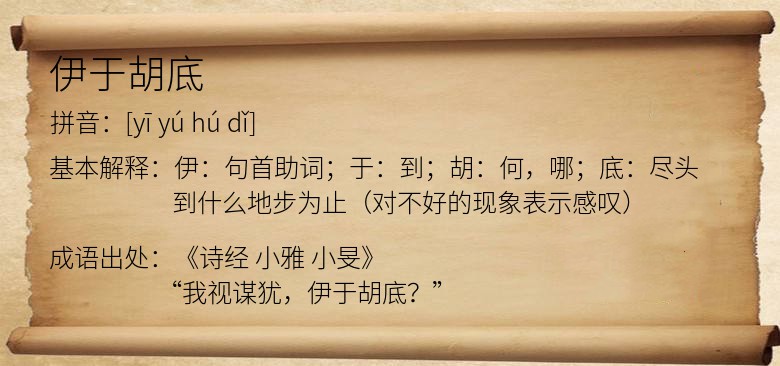 伊于胡底