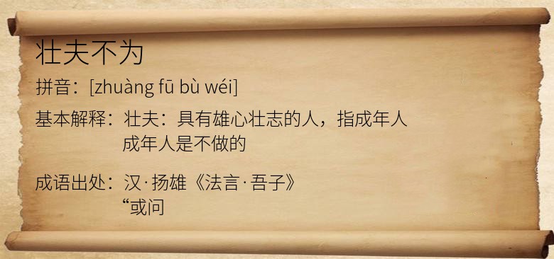 壮夫不为
