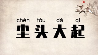 尘头大起