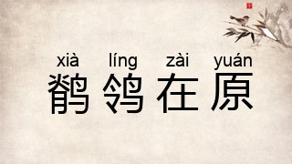 鹡鸰在原