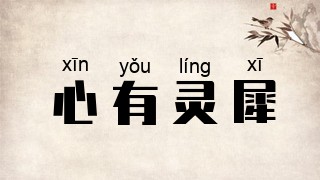 心有灵犀