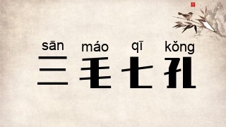 三毛七孔