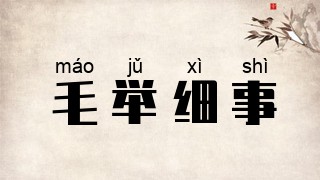 毛举细事