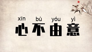 心不由意