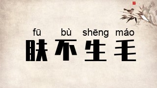 肤不生毛
