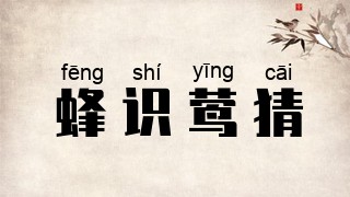 蜂识莺猜