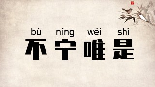 不宁唯是