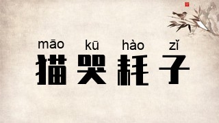 猫哭耗子