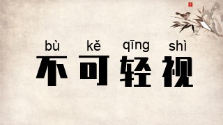 不可轻视