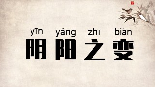 阴阳之变