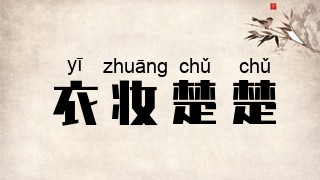 衣妆楚楚