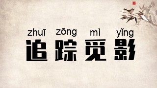 追踪觅影