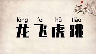 龙飞虎跳