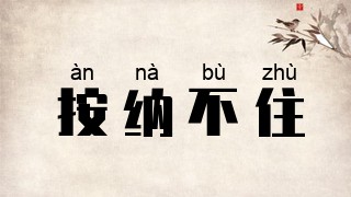 按纳不住