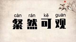 粲然可观