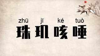 珠玑咳唾