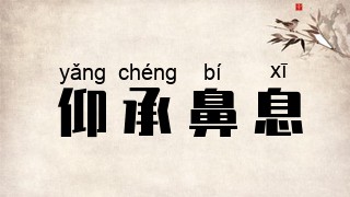 仰承鼻息