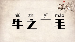 牛之一毛