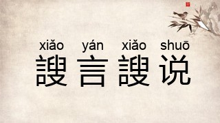 謏言謏说