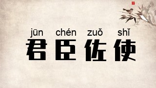 君臣佐使