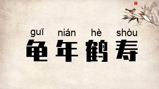 龟年鹤寿