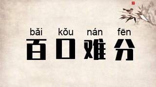 百口难分