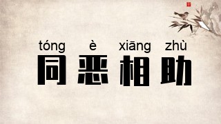 同恶相助