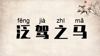 泛驾之马