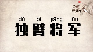 独臂将军