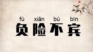 负险不宾