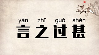 言之过甚