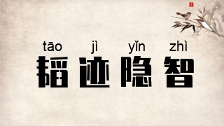 韬迹隐智