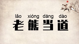 老熊当道