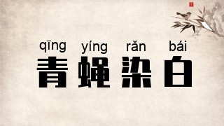 青蝇染白