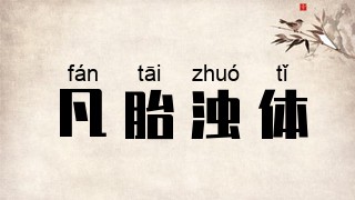 凡胎浊体