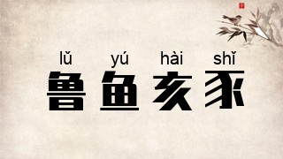 鲁鱼亥豕