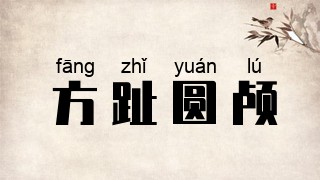 方趾圆颅