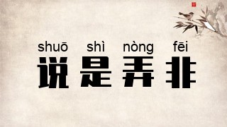 说是弄非