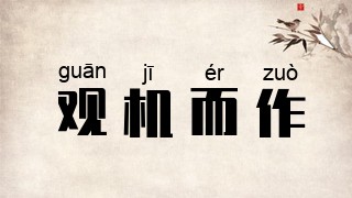 观机而作