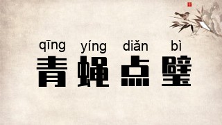 青蝇点璧