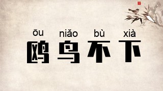 鸥鸟不下