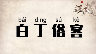 白丁俗客