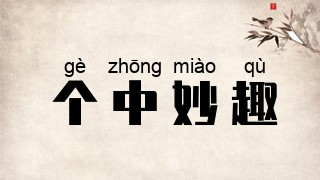 个中妙趣