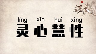 灵心慧性