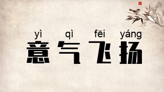 意气飞扬