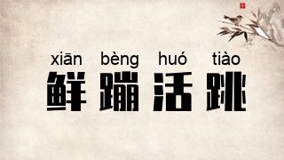 鲜蹦活跳