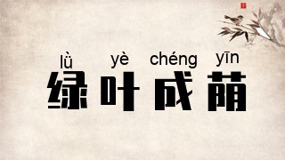 绿叶成荫