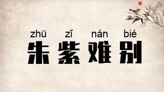 朱紫难别