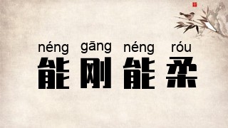能刚能柔