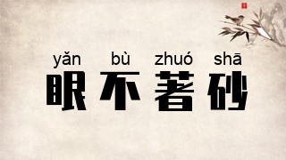 眼不著砂